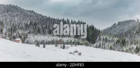 Paysage enneigé d'hiver dans les montagnes Rhodope en Bulgarie Banque D'Images