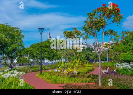 Parc Nelson Mandela dans la ville portugaise de Funchal. Banque D'Images