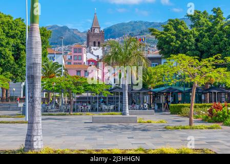 Parc Nelson Mandela dans la ville portugaise de Funchal. Banque D'Images