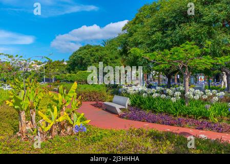 Parc Nelson Mandela dans la ville portugaise de Funchal. Banque D'Images