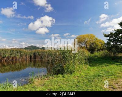 Le Lautensee dans la réserve naturelle Mainaue près d'Augsfeld, ville Hassfurt, quartier Hassberge, Basse-Franconie, Franconie, Bavière, Allemagne Banque D'Images