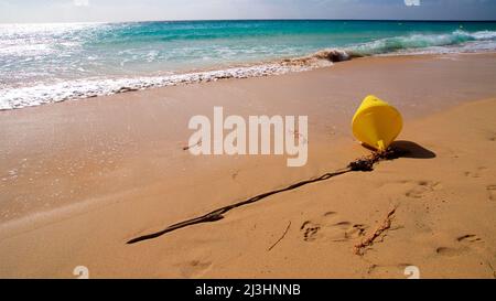 Espagne, îles Canaries, Fuerteventura, sud de l'île, Jandia, plage, plage de sable, bouée jaune sur la plage, mer scintillant en arrière-plan, vert de mer Banque D'Images