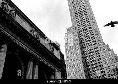 5 Ave/W 40 Street, New York City, NY, USA, New York public Library (öffentliche Bibliothek) à gauche Banque D'Images