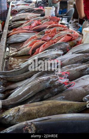 Sir Selwyn Selwyn-Clarke Market Victoria Mahe Seychelles / Street Photography Banque D'Images