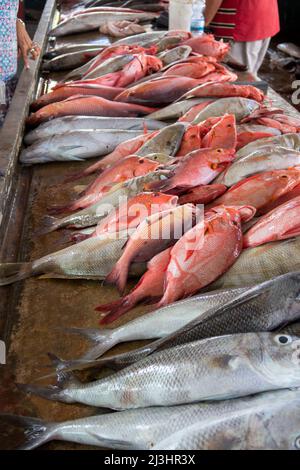 Sir Selwyn Selwyn-Clarke Market Victoria Mahe Seychelles / Street Photography Banque D'Images