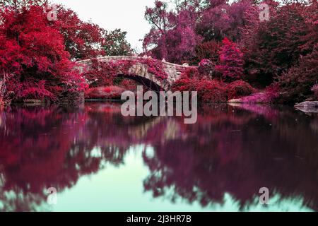 Gapstow Bridge, New York City, NY, USA, le pont de pierre Gapstow Bridge est l'une des icônes de Central Park. La couleur de l'image est modifiée Banque D'Images