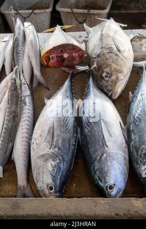 Sir Selwyn Selwyn-Clarke Market Victoria Mahe Seychelles / Street Photography Banque D'Images