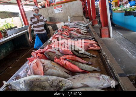 Sir Selwyn Selwyn-Clarke Market Victoria Mahe Seychelles / Street Photography Banque D'Images