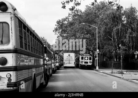 Wiliamsburg, New York City, NY, Etats-Unis, beaucoup de bus scolaires Banque D'Images
