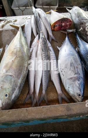 Sir Selwyn Selwyn-Clarke Market Victoria Mahe Seychelles / Street Photography Banque D'Images