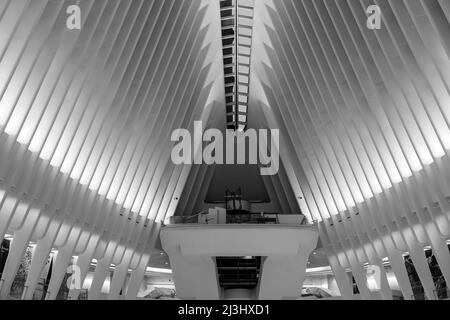 WORLD TRADE CENTER, New York City, NY, USA, World Trade Center Transportation Hub ou Oculus conçu par Santiago Calatrava architecte dans le quartier financier à l'intérieur Banque D'Images