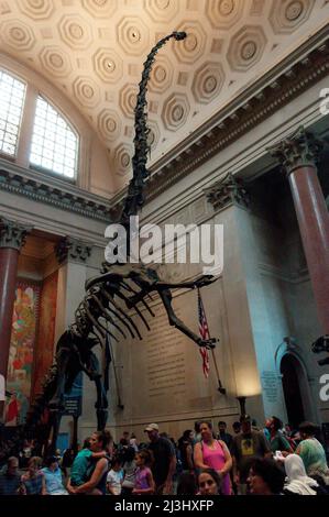 81 STREET - MUSEUM OF NATURAL HISTORY, New York City, NY, États-Unis, lieu de tournage de « Night at the Museum » Banque D'Images
