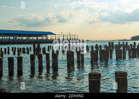 Brooklyn Heights, New York City, NY, États-Unis, piliers en bois dans East River vus de l'ancien Pier 1 au Brooklyn Bridge Park Banque D'Images