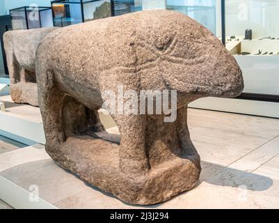 Verraco - sculpture de porc. 3rd - 1st Century BC. Granit. Province d'Avila, Espagne. Culture véttonienne.statues et œuvres d'art Banque D'Images