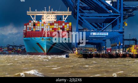 Les problèmes du commerce mondial. N'importe quel port dans une tempête. Le déchargement des conteneurs s'arrête pendant une tempête au port de Felixstowe, le plus grand port de conteneurs du Royaume-Uni. Banque D'Images