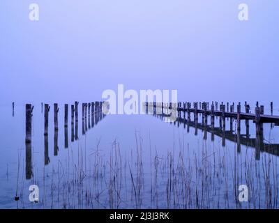 Atmosphère brumeuse à l'Ammersee, Utting Banque D'Images