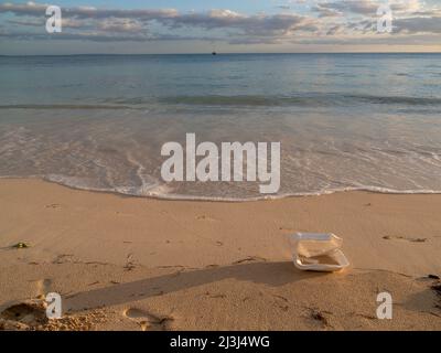 Assiette jetable laissée sur une belle plage avec un coucher de soleil, de l'eau bleue et du sable propre Banque D'Images