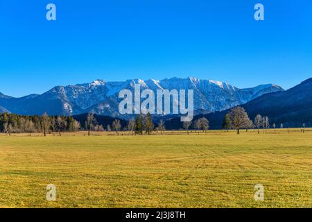 Allemagne, Bavière, haute-Bavière, Pfaffenwinkel, Murnau am Staffelsee, Murnauer Moos contre Estergebirge, vue près de Grafenaschau Banque D'Images