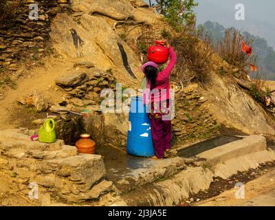 Femme indienne qui recueille de l'eau au printemps au village de Tulla Kote, région de Tallas des, Uttarakhand, Inde Banque D'Images