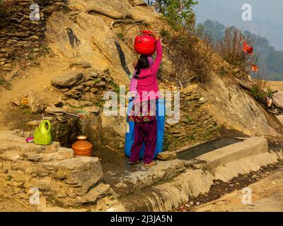 Femme indienne qui recueille de l'eau au printemps au village de Tulla Kote, région de Tallas des, Uttarakhand, Inde Banque D'Images