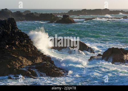 Surfez sur la côte rocheuse de la Pointe de Porz Men, ÃŽle d'Ouessant, France, Bretagne, Département Finistère Banque D'Images