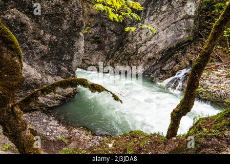 Le Breitach sous le chemin à travers la gorge Banque D'Images