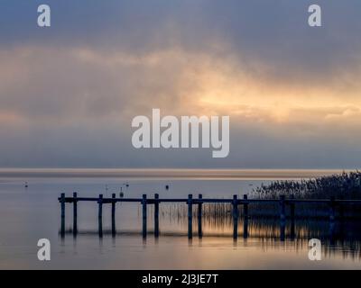 Atmosphère brumeuse à l'Ammersee, Utting, Banque D'Images