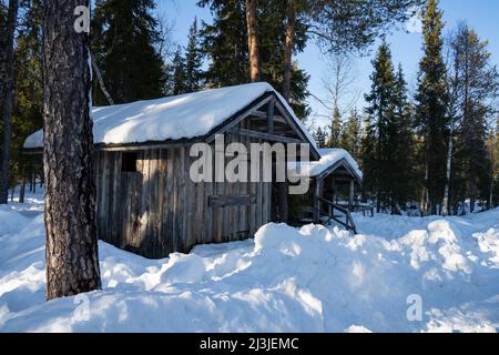 Rovaniemi, Finlande - 17th mars 2022 : hangars en bois dans une forêt de sapins enneigés par une belle journée d'hiver. Banque D'Images