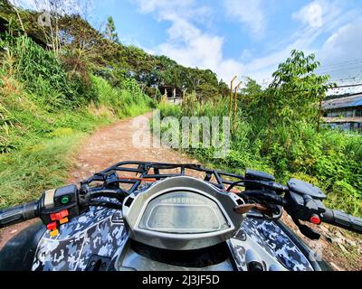 Première personne vue au milieu de la jungle, conducteur de VTT dans la boue. Voyage aventure dans la forêt. Mise au point douce. Homme sur la course quadbike sur terrain accidenté dans la forêt lors d'une chaude journée d'été Banque D'Images