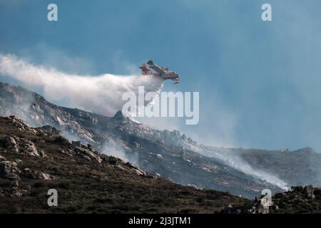 Speloncato, Corse, France - 8th avril 2022. Un avion-feu de Canadair de la Civile française de la Securitite fait couler de l'eau au-dessus d'un feu de forêt au-dessus du village de SPE Banque D'Images