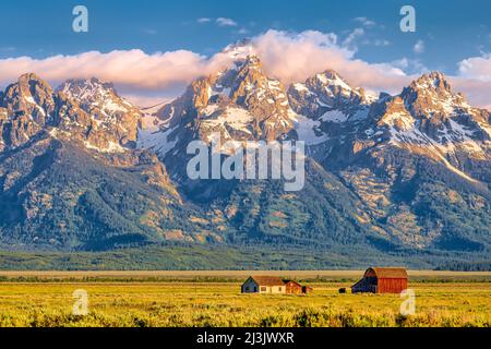 Mormon Ranch historique et Grand Teton Mountains tôt le matin, Wyoming, États-Unis. Banque D'Images