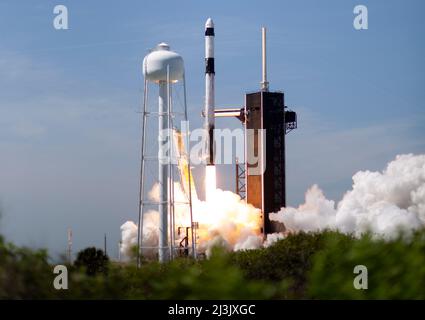 Floride, États-Unis. 08th avril 2022. Une fusée SpaceX Falcon 9 transportant le vaisseau spatial Crew Dragon de la société est lancée sur Axiom Mission 1 (axe-1) à la Station spatiale internationale avec le commandant Michael López-Alegría d'Espagne et des États-Unis, le pilote Larry Connor des États-Unis et les spécialistes de mission Eytan Stibbe d'Israël, Et Mark Pathy du Canada à bord, le vendredi 8 avril 2022, au Kennedy Space Center de la NASA, en Floride. La mission axe-1 est la première mission d'astronaute privé à la Station spatiale internationale. López-Alegría, Connor, Pathy, Stibbe lancé à 11 h 17 à partir de Launch Compl Banque D'Images
