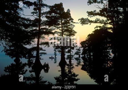 Lac Reelfoot et Bass Fisherman, Tennessee Banque D'Images