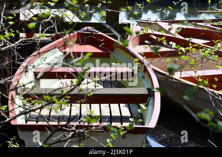 gros plan d'un bateau à rames sur la jetée derrière les branches d'arbres Banque D'Images