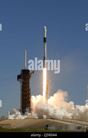 Floride, États-Unis. 08th avril 2022. Une fusée SpaceX Falcon 9 lance la première équipe commerciale de quatre personnes pour Axiom Space à la Station spatiale internationale à partir du complexe 39A au Kennedy Space Center, en Floride, le vendredi 8 avril 2022. Photo par Bill Cantrell/UPI crédit: UPI/Alay Live News crédit: UPI/Alay Live News Banque D'Images