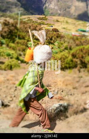 Promenade de colons dans les montagnes Simien du parc national de Simien dans le nord de l'Éthiopie; Éthiopie Banque D'Images