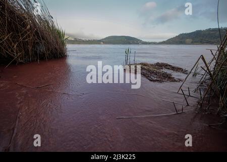 Pozzuoli, Italie. 08th avril 2022. Les eaux du lac D 'Averno, sont teintées de rouge, en raison de la floraison de quelques algues qui fleurissent en hiver ou en périodes de basses températures. Crédit : Agence photo indépendante/Alamy Live News Banque D'Images