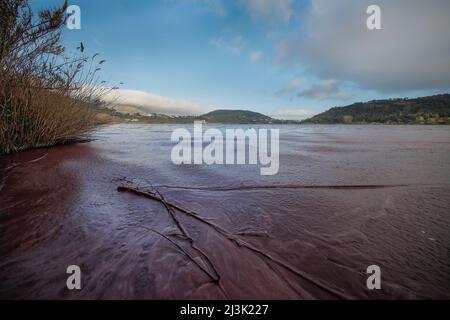 Pozzuoli, Italie. 08th avril 2022. Les eaux du lac D 'Averno, sont teintées de rouge, en raison de la floraison de quelques algues qui fleurissent en hiver ou en périodes de basses températures. Crédit : Agence photo indépendante/Alamy Live News Banque D'Images