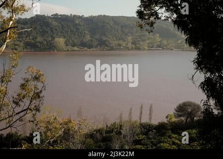 Pozzuoli, Italie. 08th avril 2022. Les eaux du lac D 'Averno, sont teintées de rouge, en raison de la floraison de quelques algues qui fleurissent en hiver ou en périodes de basses températures. Crédit : Agence photo indépendante/Alamy Live News Banque D'Images