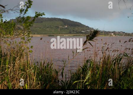 Pozzuoli, Italie. 08th avril 2022. Les eaux du lac D 'Averno, sont teintées de rouge, en raison de la floraison de quelques algues qui fleurissent en hiver ou en périodes de basses températures. Crédit : Agence photo indépendante/Alamy Live News Banque D'Images