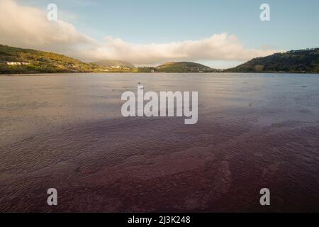 Pozzuoli, Italie. 08th avril 2022. Les eaux du lac D 'Averno, sont teintées de rouge, en raison de la floraison de quelques algues qui fleurissent en hiver ou en périodes de basses températures. Crédit : Agence photo indépendante/Alamy Live News Banque D'Images