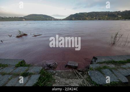 Pozzuoli, Italie. 08th avril 2022. Les eaux du lac D 'Averno, sont teintées de rouge, en raison de la floraison de quelques algues qui fleurissent en hiver ou en périodes de basses températures. Crédit : Agence photo indépendante/Alamy Live News Banque D'Images