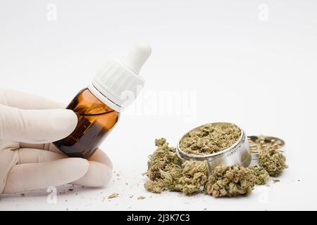 distributeur d'huile de marijuana dans les mains de spécialiste avec des gants, broyeur avec bourgeons, fond blanc Banque D'Images