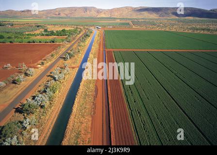 Cultures irriguées à Kununurra sur l'Ord Australie occidentale . Banque D'Images