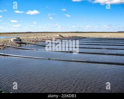 Lignes flottantes provenant d'aérateurs à surpresseurs dans une lagune de traitement des eaux usées pour les déchets organiques élevés. Banque D'Images