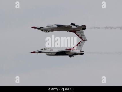 Les Thunderbirds de la US Air Force effectuent une démonstration aérienne lors de l'exposition aérienne et spatiale Shaw à la base aérienne Shaw, en Caroline du Sud, le 3 avril 2022. L'exposition a présenté 12 avions à exposition statique et 10 avions à exposition aérienne, ainsi que d'autres attractions et expositions, qui ont attiré plus de 75 000 participants. (É.-U. Photo de la Force aérienne par Tech. Sgt. Ryan Conroy) Banque D'Images