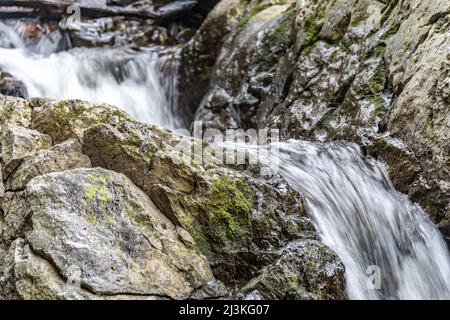 Accessible en fauteuil roulant, à 400m minutes à pied du parking, la rivière Amon Sychryd à Rhondda Cynon Taf, plus facile d'accès, près de Dinas Rock, cascades d'eau, Mo Banque D'Images