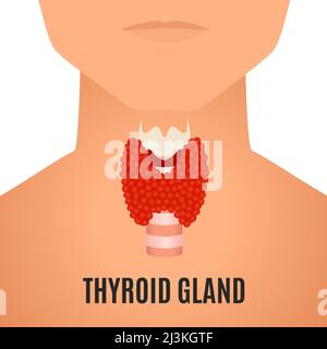 Thyroïde chez les hommes, illustration conceptuelle Banque D'Images