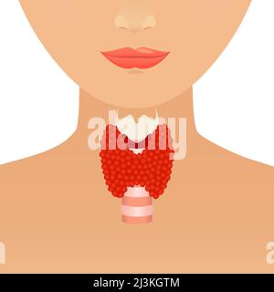 Thyroïde chez les femmes, illustration conceptuelle Banque D'Images