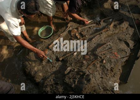 Travailleurs et archéologues de la National Archaeology Research en Indonésie excavant un site de sépulture préhistorique à Tempuran, Karawang, Indonésie. Banque D'Images